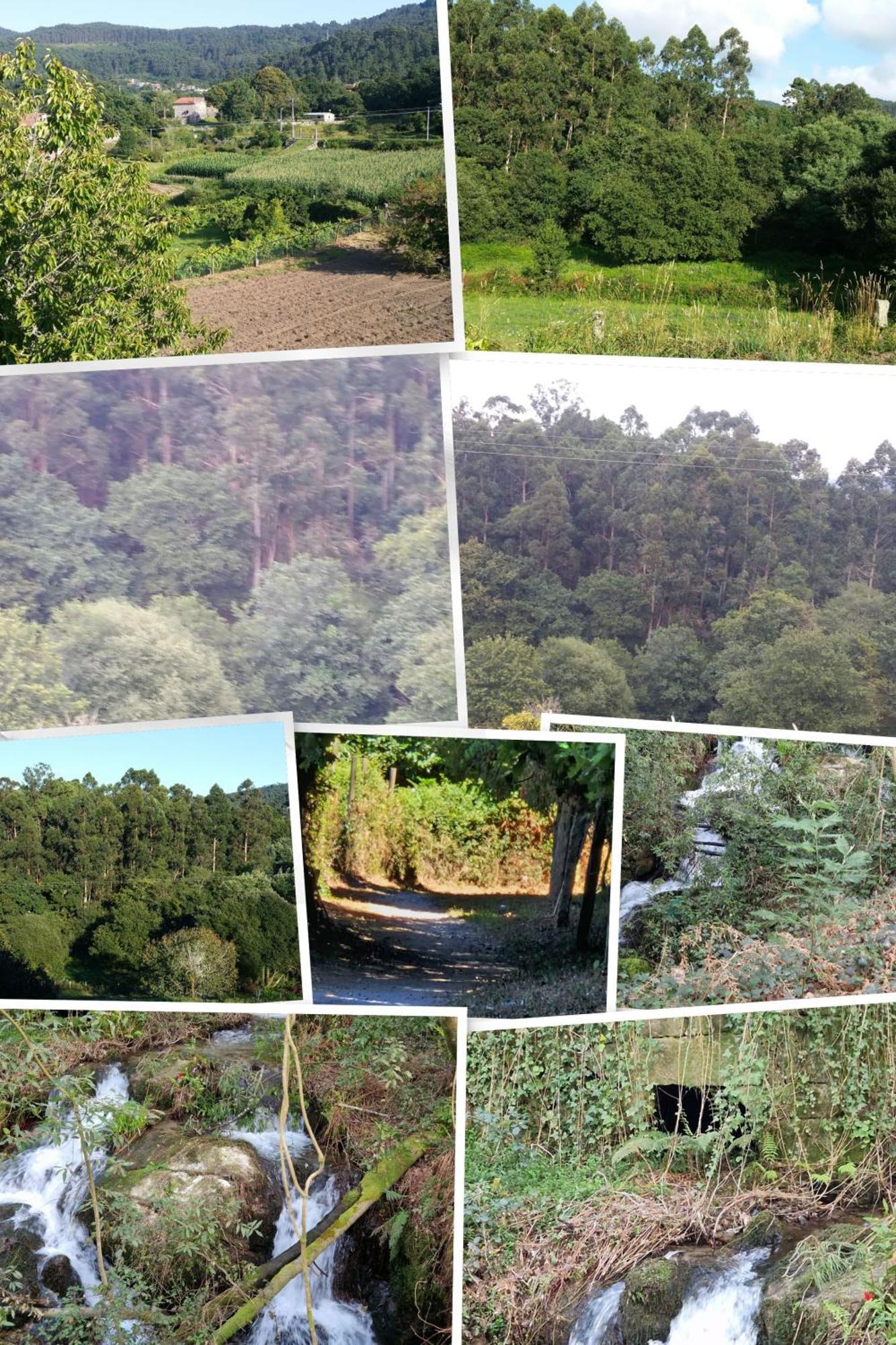 Villa Campo Das Medas , En Medio De La Naturaleza Con Piscina Privada De Sal Gondomar Bagian luar foto